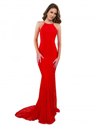 Lace High Neck Sleeveless Open Back Long Evening Gown / Prom Dress / Bridesmaid Dress Essex
